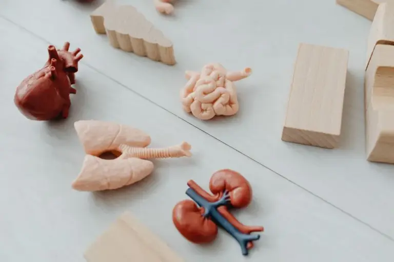 Physiopathologique définition : non, ce n'est pas juste un synonyme de « anormal »