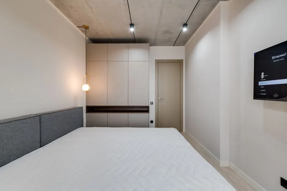 Punaise de lit ou punaise de bois : lequel envahit vraiment votre chambre