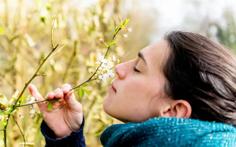 Allergies saisonnières chez l'enfant ou rhume à répétition, comment ne plus confondre