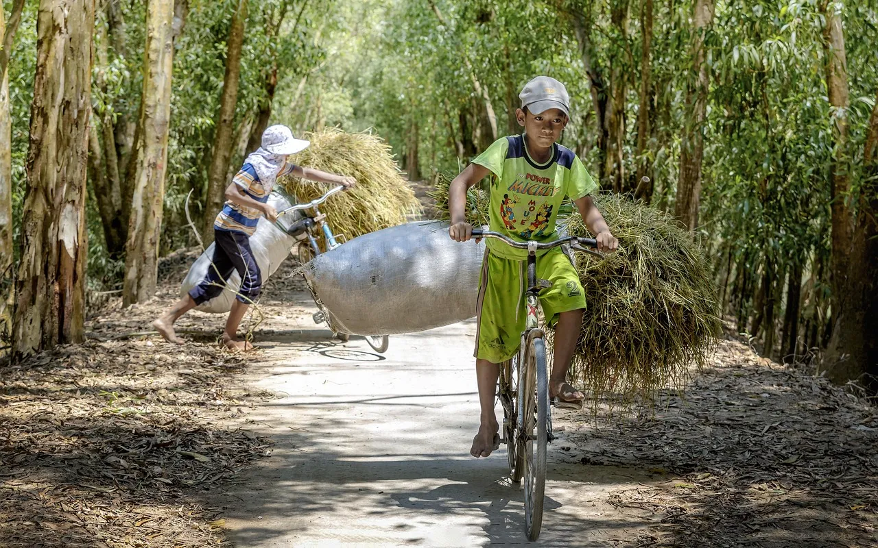Digestion difficile chez l'enfant ou simple sensibilité passagère, comment faire la différence