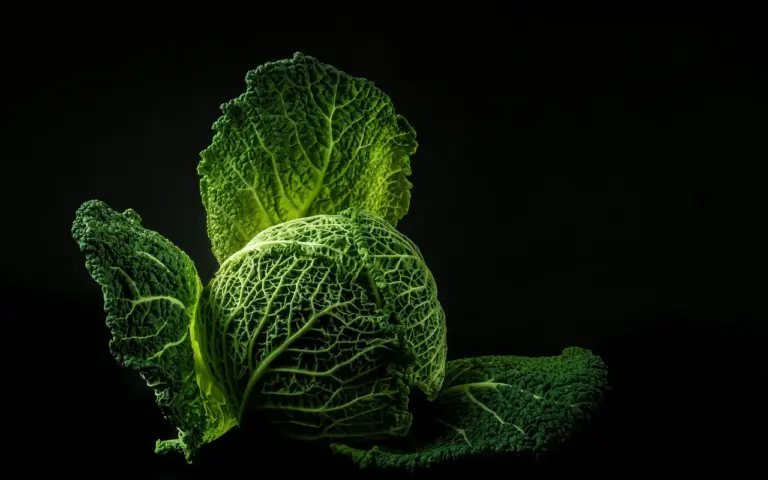 Non, le microbiote intestinal ne se résume pas à votre digestion