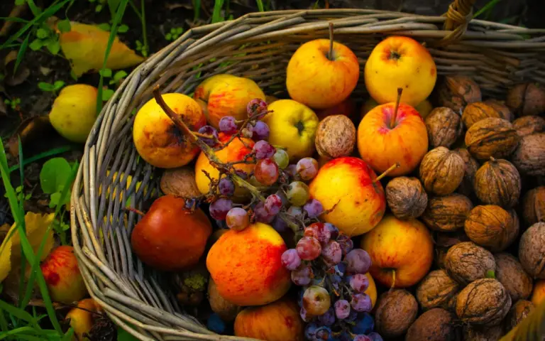 Quand l'automne arrive, voici ce qui marche vraiment pour renforcer son immunité naturellement
